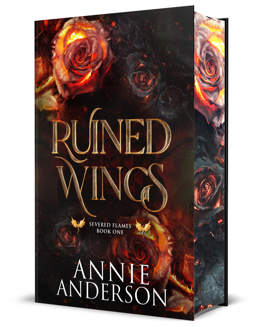 Ruined Wings by Annie Anderson